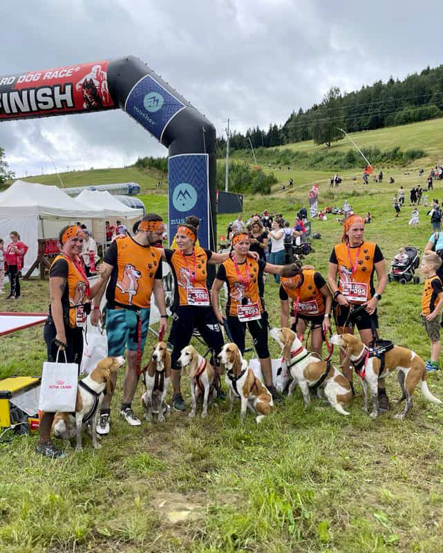 Psí sporty - sportovní oblečení na míru